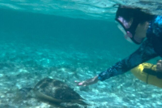 bahamas-sea-scooter-snorkeling-adventure