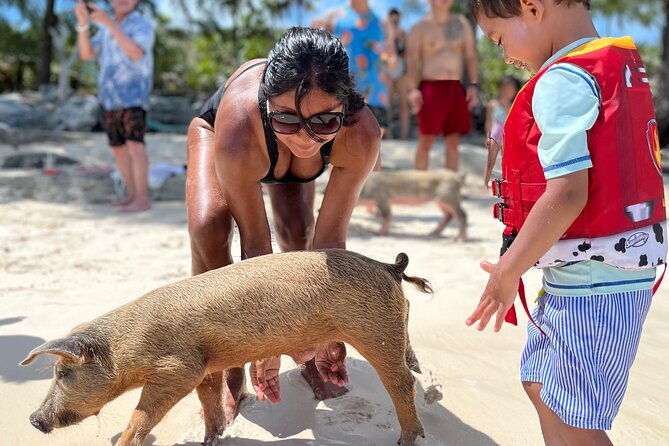 bahamas-swimming-pigs-experience-on-rose-island