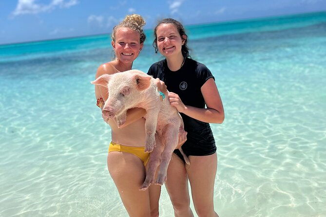 bahamas-swimming-pigs-experience-on-rose-island