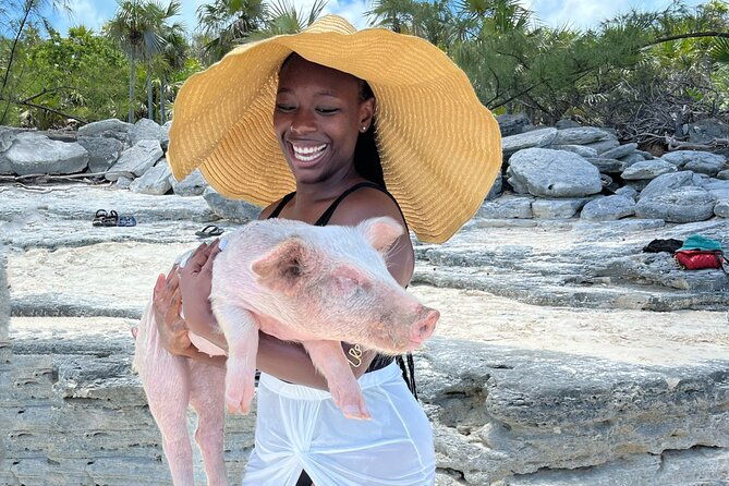 bahamas-swimming-pigs-experience-on-rose-island