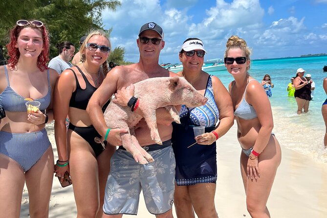 bahamas-swimming-pigs-experience-on-rose-island