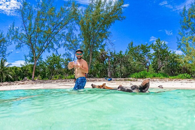 bahamas-swimming-pigs-snorkeling-beach-break-package