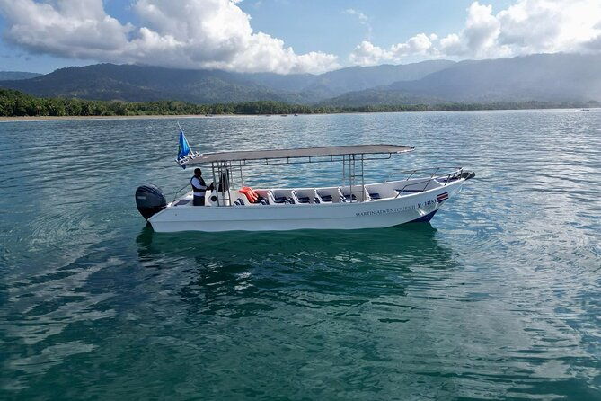 bahia-ballena-whale-and-dolphin-tour-afternoon