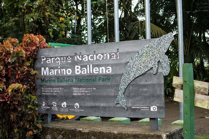 bahia-ballena-whale-and-dolphin-tour-afternoon