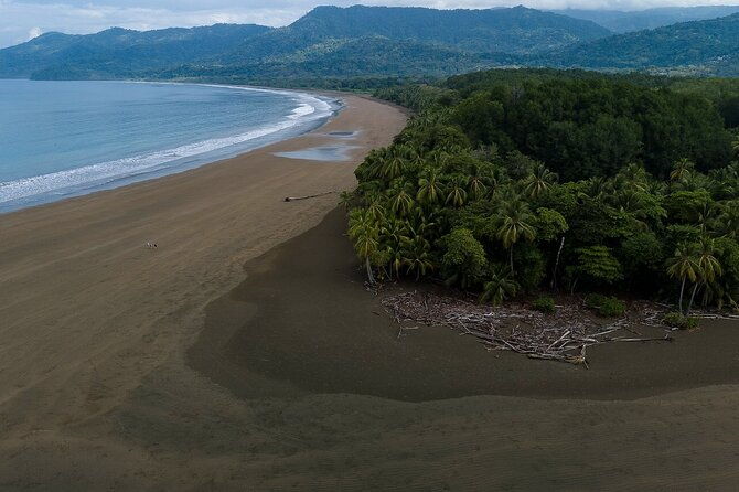 bahia-ballena-whale-and-dolphin-tour-morning