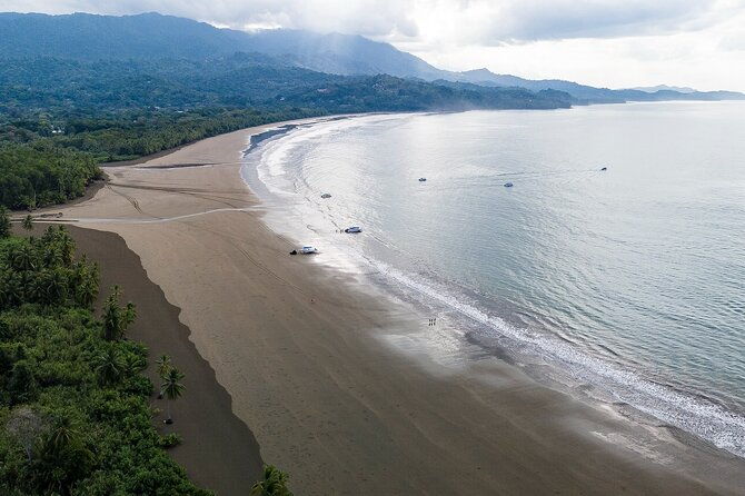 bahia-ballena-whale-and-dolphin-tour-morning