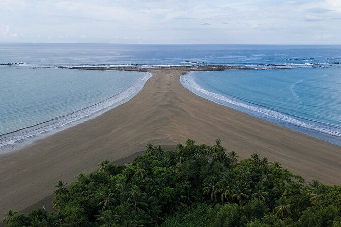 bahia-ballena-whale-and-dolphin-tour-morning