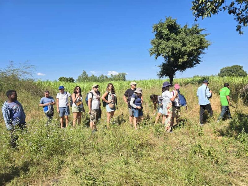 Bahir Dar:2-Day Blue Nile Falls & Lake Tana Monasteries Tour - Final Thought: Who Will Love This Tour?