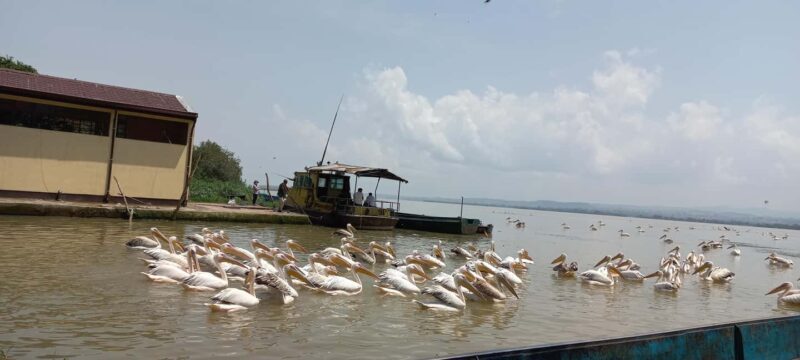Bahir Dar:2-Day Blue Nile Falls & Lake Tana Monasteries Tour - FAQ