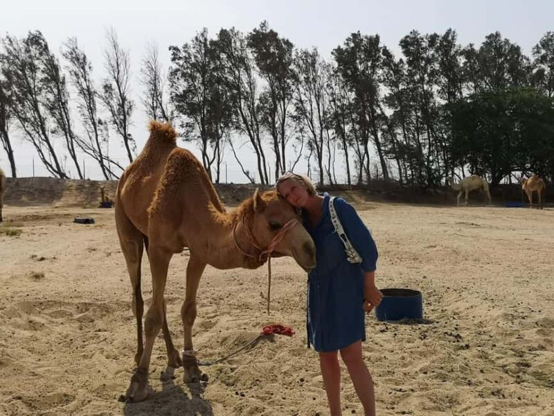Bahrain in a Day from City Lights to Desert Landscapes - Key Points