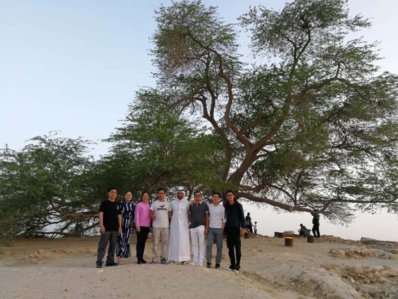 Bahrain in a Day from City Lights to Desert Landscapes - An In-Depth Look at the Tour Experience