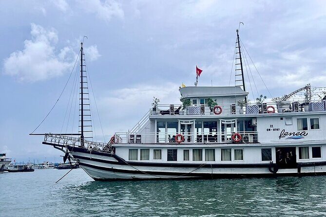 Bai Tu Long Bay 2 Days 1 Night With Renea Cruise - Key Points