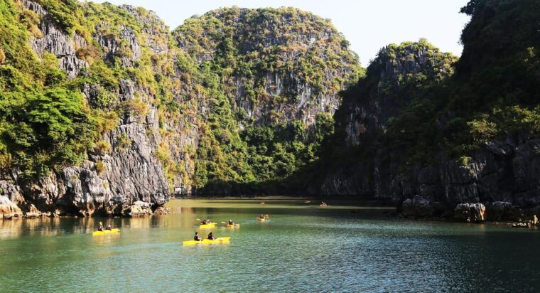 bai-tu-long-bay-2-days-1-night-with-renea-cruise