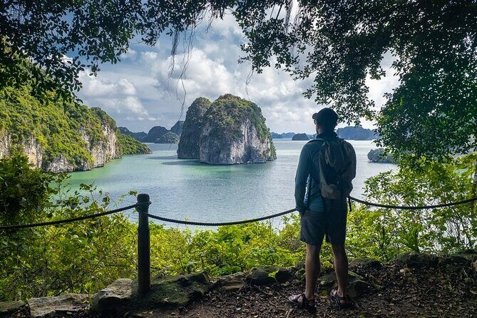 Bai Tu Long Bay Day Cruise with Pick Up from Ninh Binh - The Sum Up: Who Is This Tour Perfect For?
