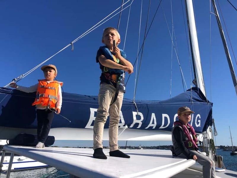 Baie De Morlaix: Catamaran Excursion - Analyzing the Value: Is It Worth It?