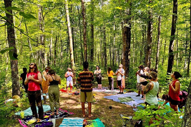 bainbridge-island-serenity-forest-hike-cultural-landmarks-tour