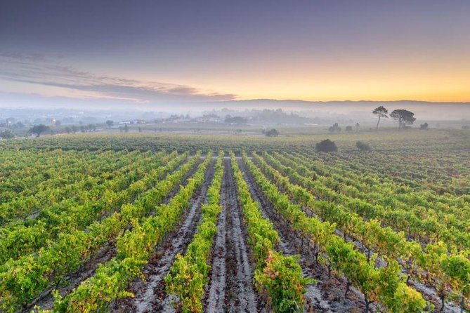 bairrada-private-tour-luso-curia-villages-with-wine-tasting