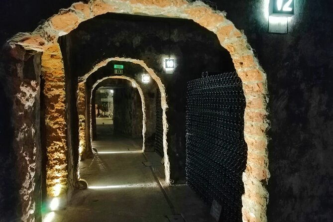 bairrada-winery-route-half-day-from-coimbra-2