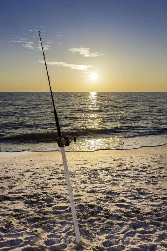 Baja: Adventure Shore Fishing - Explore La Ventana on ATV - What to Expect from This Tour