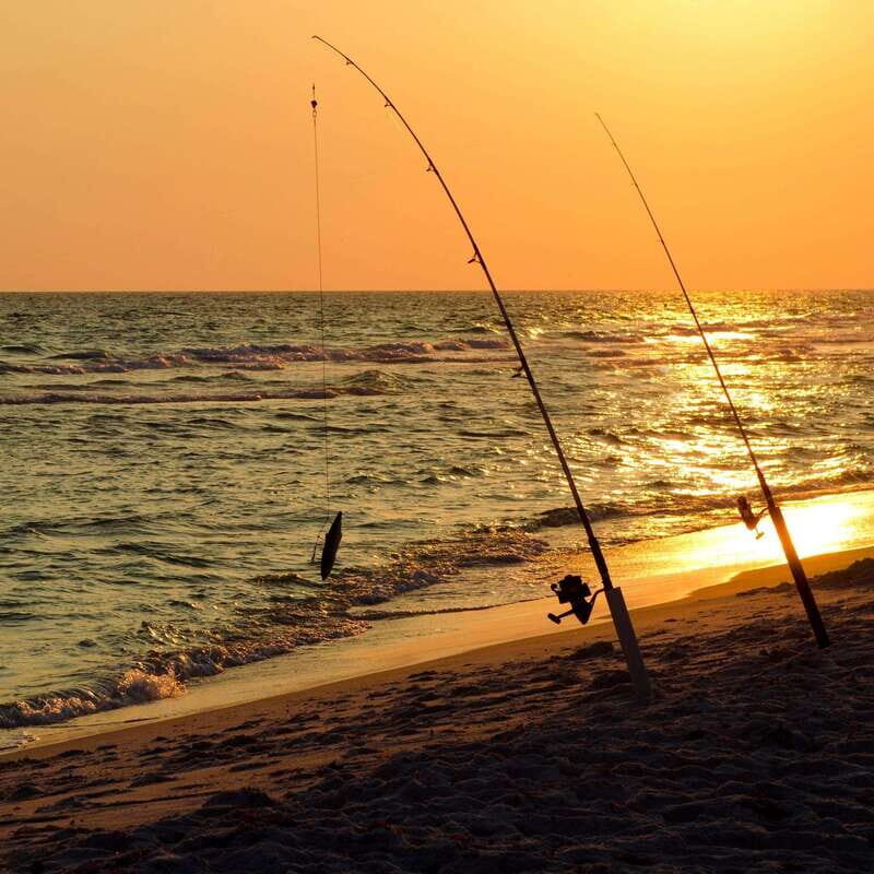 Baja: Adventure Shore Fishing - Explore La Ventana on ATV - Why This Tour Works Well
