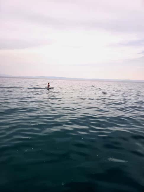 Baka Voda: Electric Surfboard Rental with Instructor - The Experience: What to Expect in Baka Vodas Electric Surfing Adventure