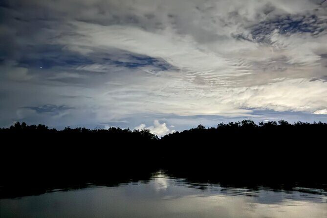 Bako National Park by Night from Kuching - The Stops and What to Expect