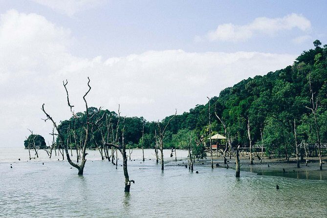 Bako National Park from Kuching City - Exploring the Itinerary in Detail