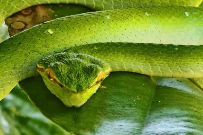 Bako National Park : Nature & Wildlife - The Sum Up