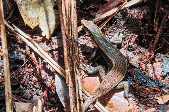 Bako National Park : Nature & Wildlife - Frequently Asked Questions