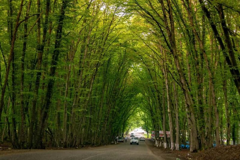 Baku: Khizi-Shahdag Tour with Resort Visit - What the Tour Includes and What to Expect
