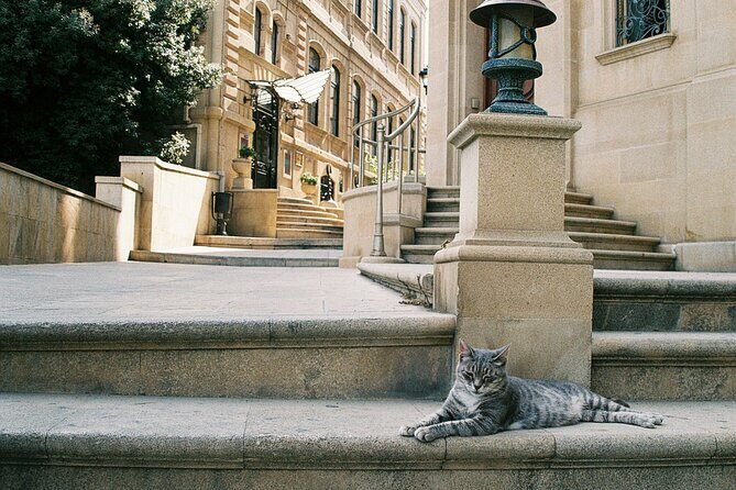Baku Old City UNESCO Heritage Walking Tour - What’s Included and What to Consider