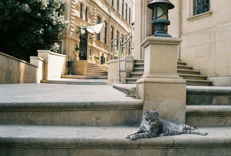 Baku Old City Wonders: A Walking Tour Through Time - Final Thoughts