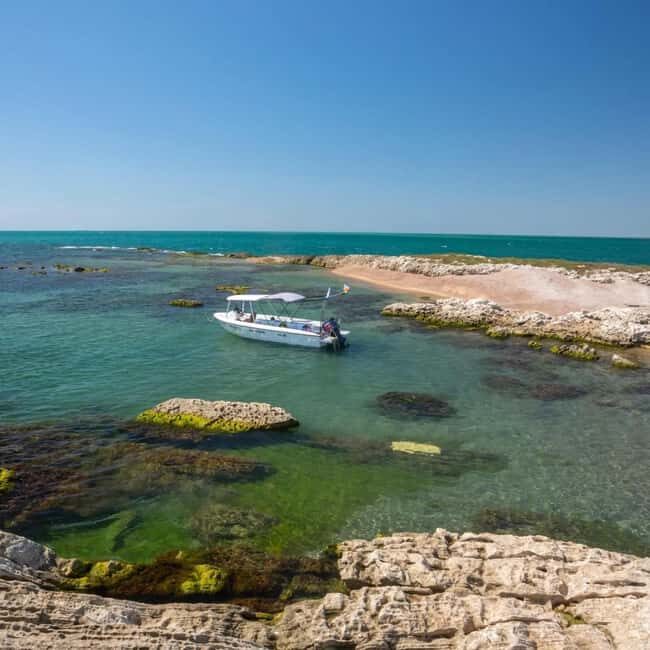 Baku: Snorkeling Tour at Gurgan Lighthouse - What Makes This Snorkeling Tour Stand Out?