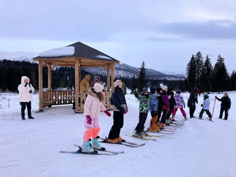Bakuriani: Private or group Ski Lesson - Practical Considerations