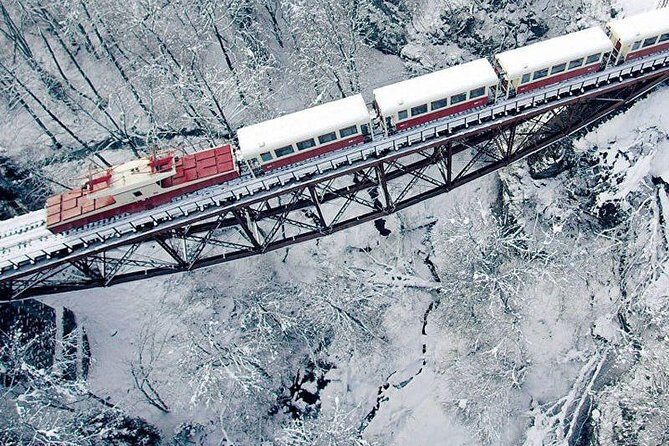 Bakuriani ski resort and the legendary Borjomi (Group Tour) - Borjomi Central Park: The Mineral Water Capital