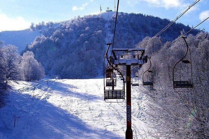 Bakuriani ski resort and the legendary Borjomi (Group Tour) - Leisurely Walk in Borjomi’s Central Park