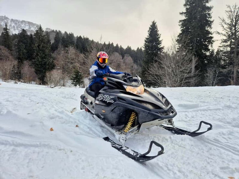 Bakuriani: Unforgetable snow activities from Kutaisi - Authentic Experiences & Hidden Insights