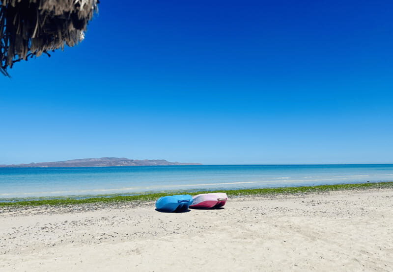 Balandra and Tecolote Beaches Day Trip with Lunch - Key Points