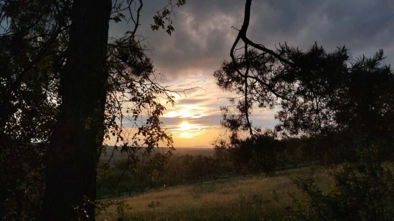 Balaton: All-Weather Hilltop Planetarium & Stargazing Tour - Final Thoughts