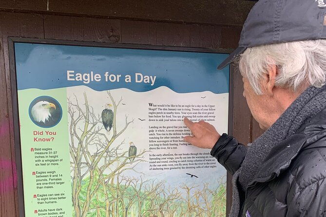 bald-eagles-nesting-area-tour-at-skagit-river