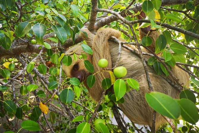baldi-hot-springs-arenal-volcano-fortuna-waterfall-from-san-jose