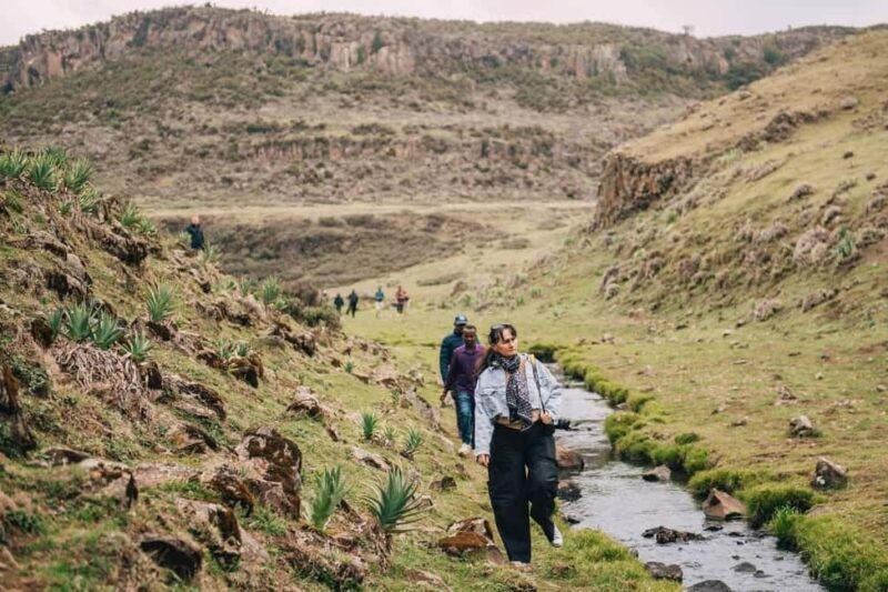 Bale Mountains: 3-Day Guided Trek with Wildlife and Camping - Why Choose This Tour?