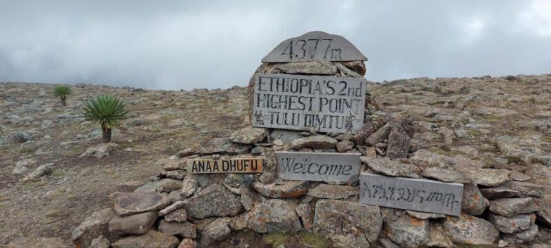 Bale mountains expedition:-4 days adventure trek - Key Points