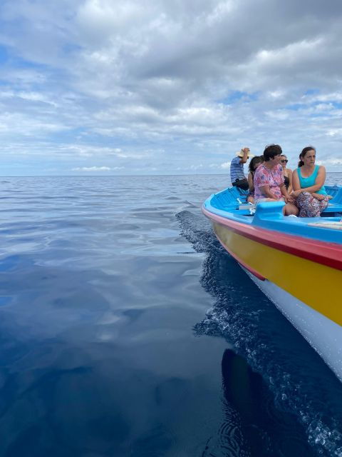 baleen-memory-unforgettable-ride-in-the-waters-of-pico