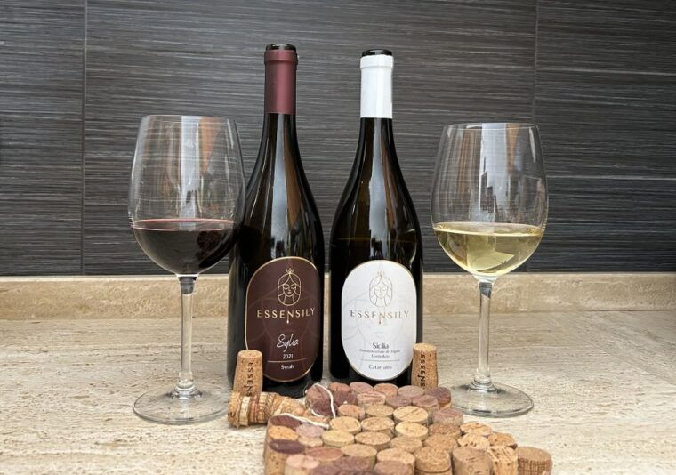 balestrate-olive-grove-tour-with-wines-olive-oil-tasting