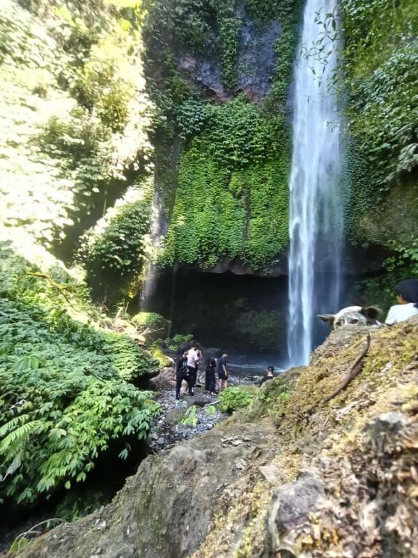 Bali: 10 Waterfalls Tour with Lunch at Local Family Home - Discovering Balis Waterfalls