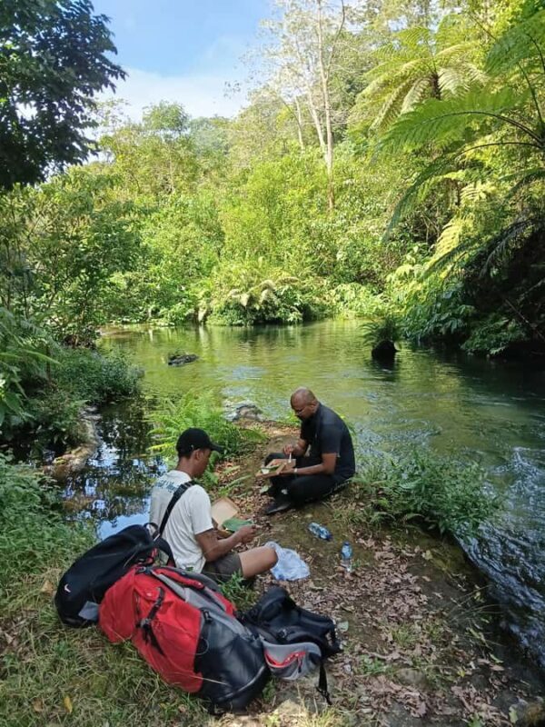 Bali: 10 Waterfalls Tour with Lunch at Local Family Home - Final Thoughts