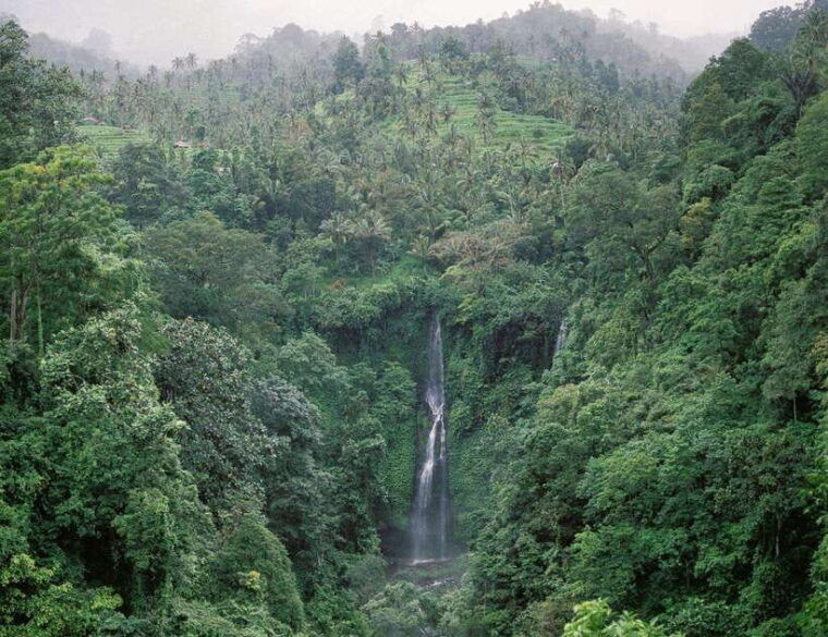 bali-100-meter-falls-adventure-private-tour-all-inclusive