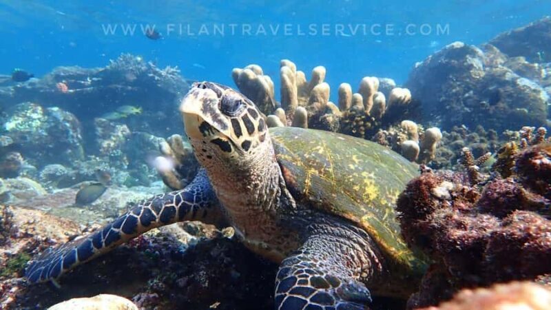 Bali: 2-Day Komodo National Park Tour - Final Thoughts: Who Would Love This Tour?