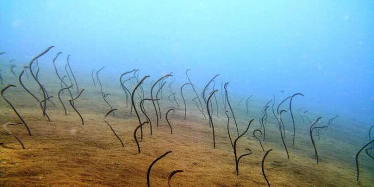 bali-2-day-padi-advanced-open-water-course